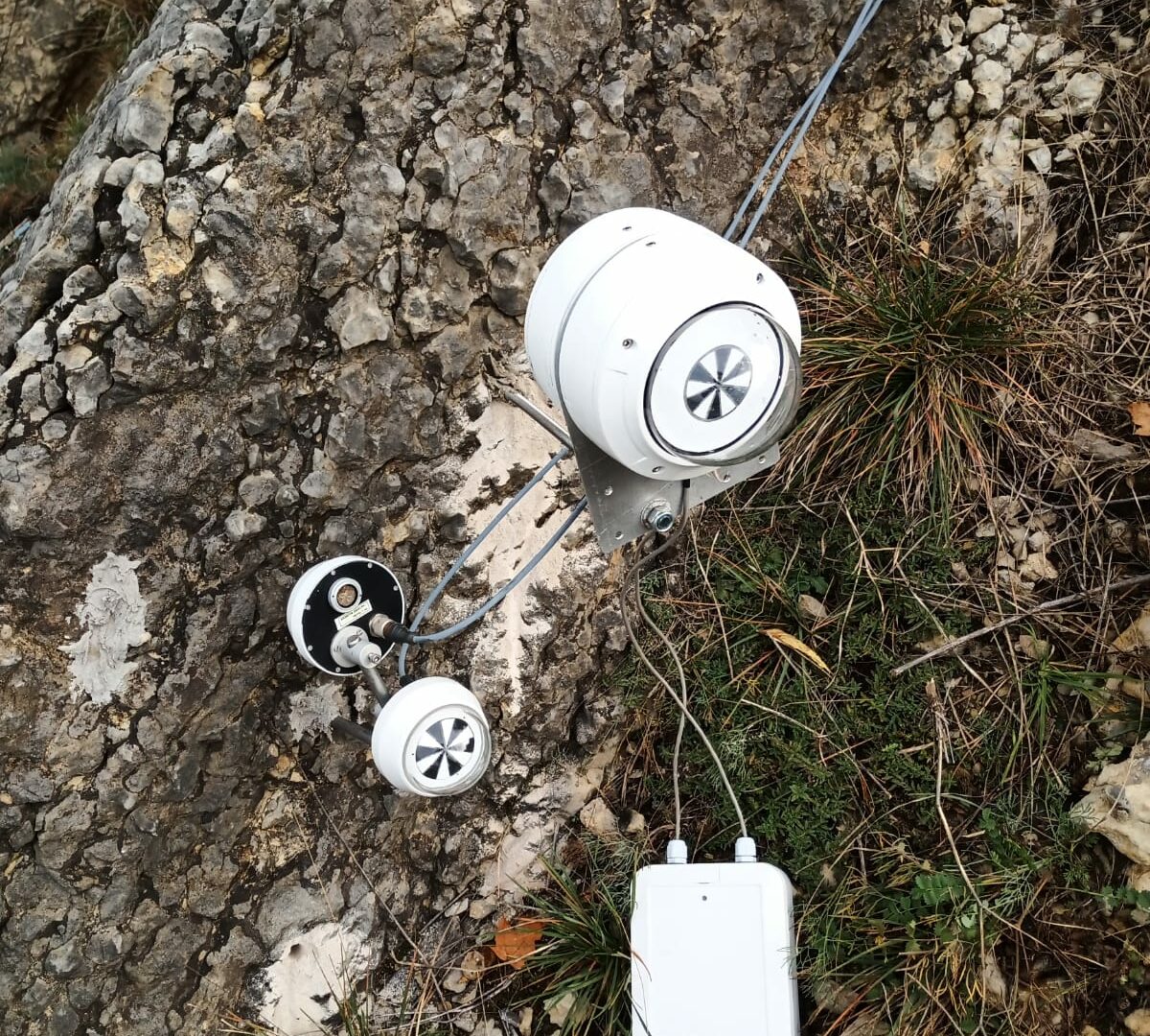 Photo_1